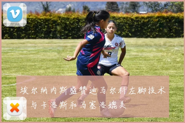 埃尔纳内斯盛赞迪马尔科左脚技术可与卡洛斯和马塞洛媲美