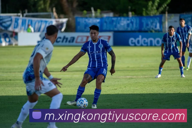 星空体育平台生态图